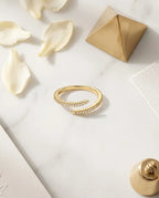 Interlocking Dual Twisted Band