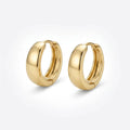 Chunky Aura Hoop Earrings