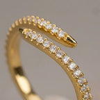 Interlocking Dual Twisted Band